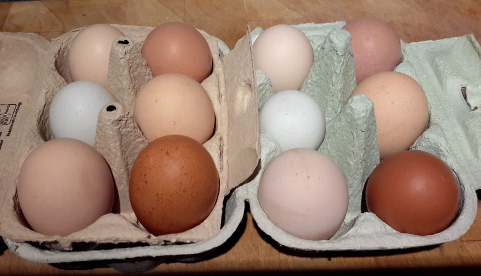 Free range eggs from our chickens, a box is provided in your welcome pack.