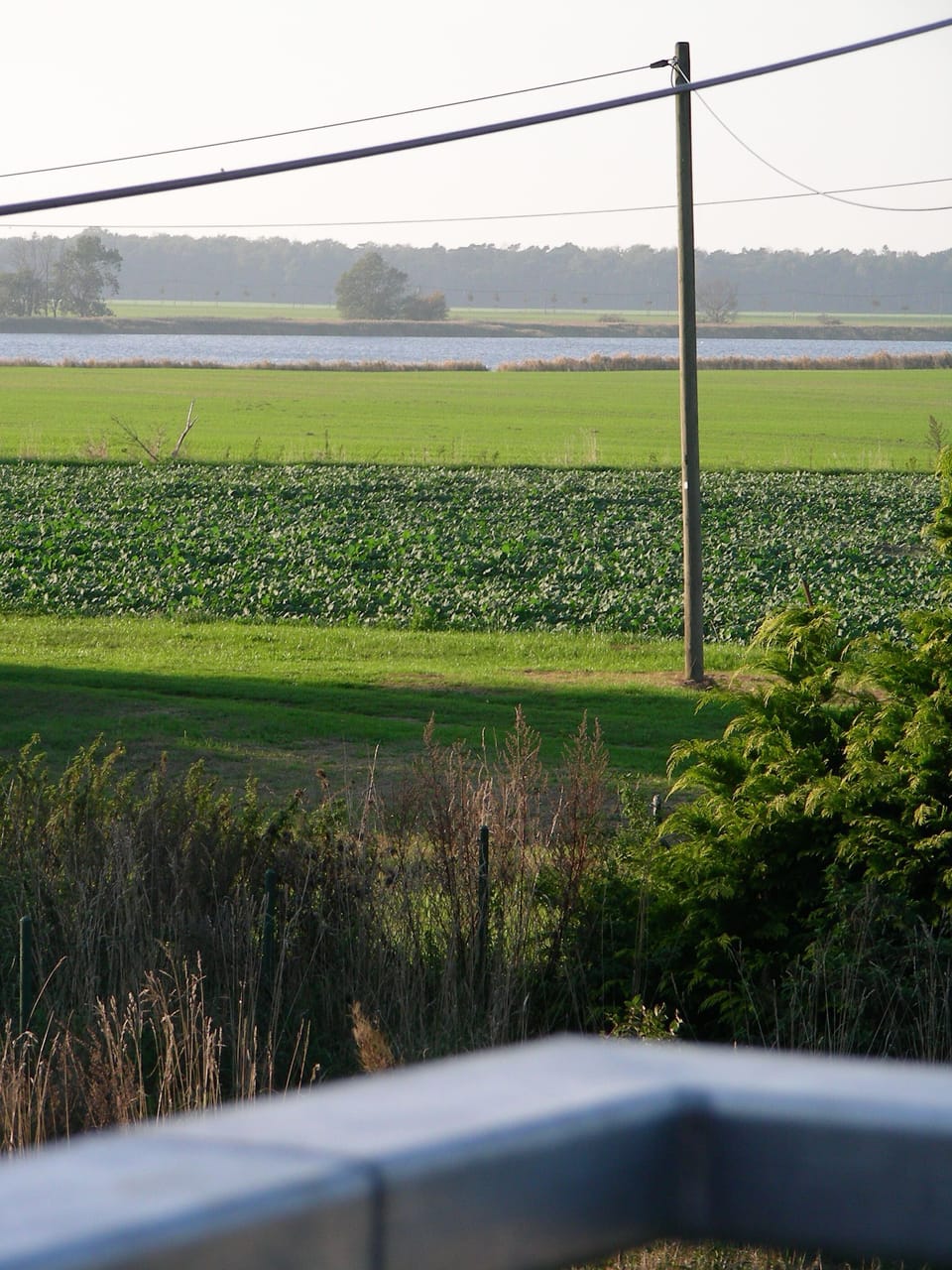 View from property