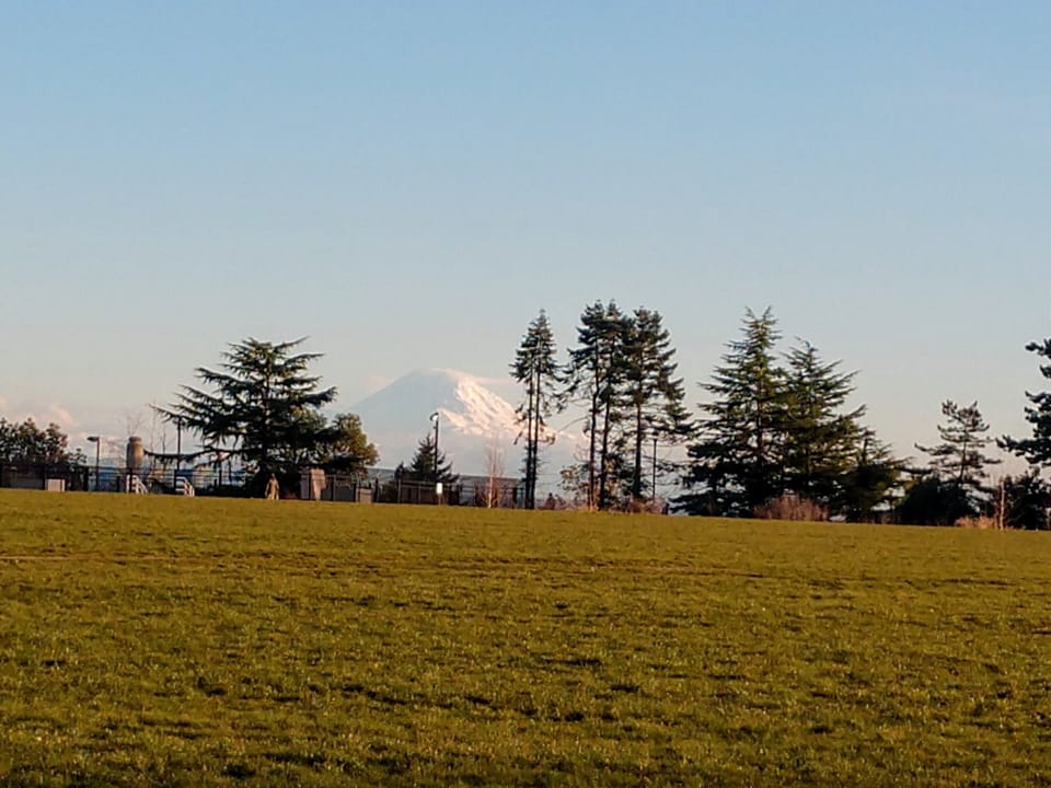 Maple Leaf Park with stunning Mt Rainier view