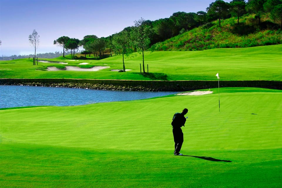 The area has 18 golf courses