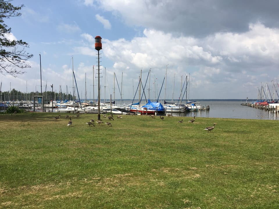 Steinhude with sea view, pool and sauna Apartment in Wunstorf
