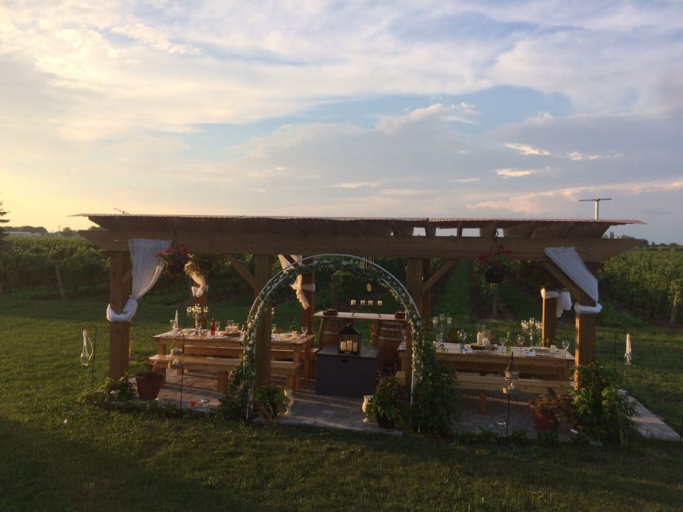Pergola on the vines