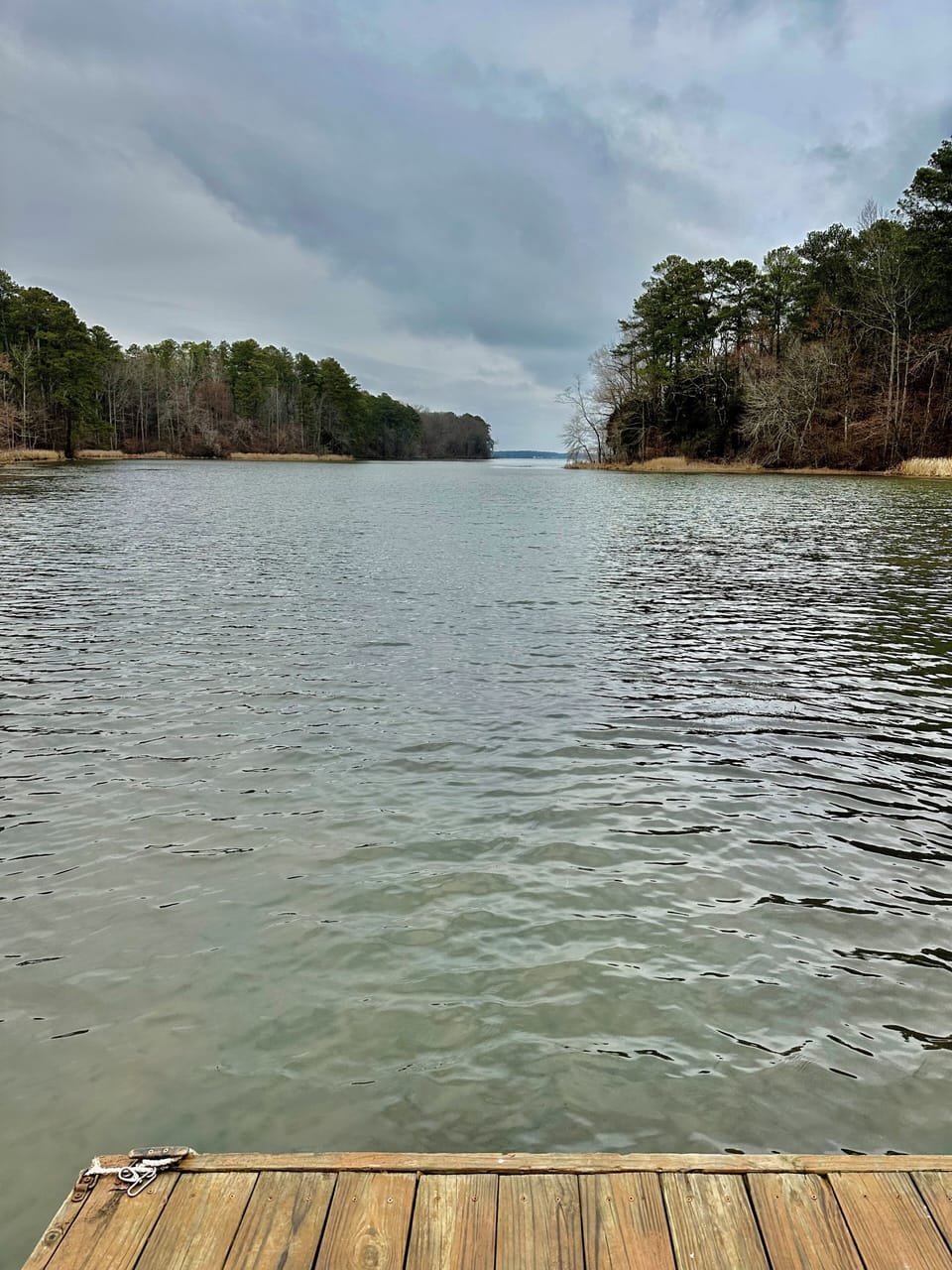 Private cove just off the main channel of Lake Guntersville - Feb 2025
