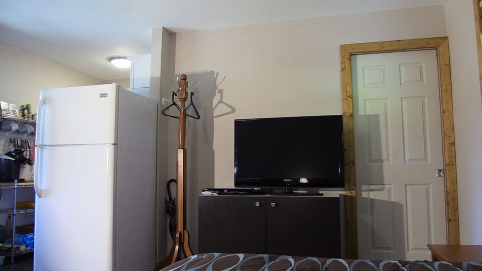 television and DVD player 