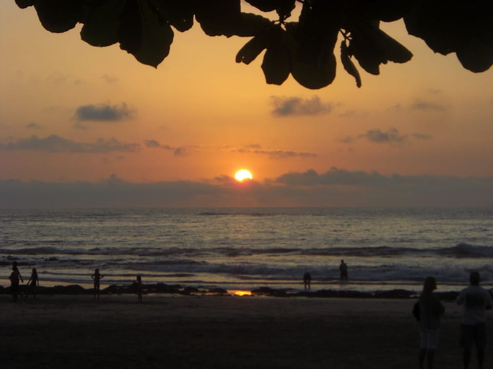 Perfect sunsets every day