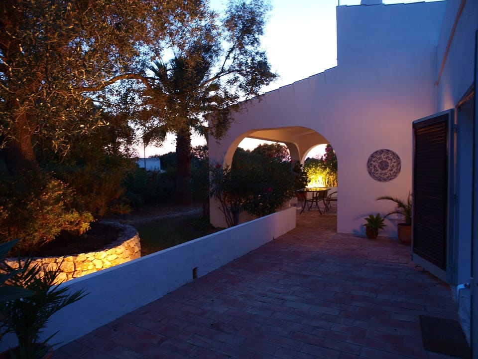 Evening 2nd porch and olive tree