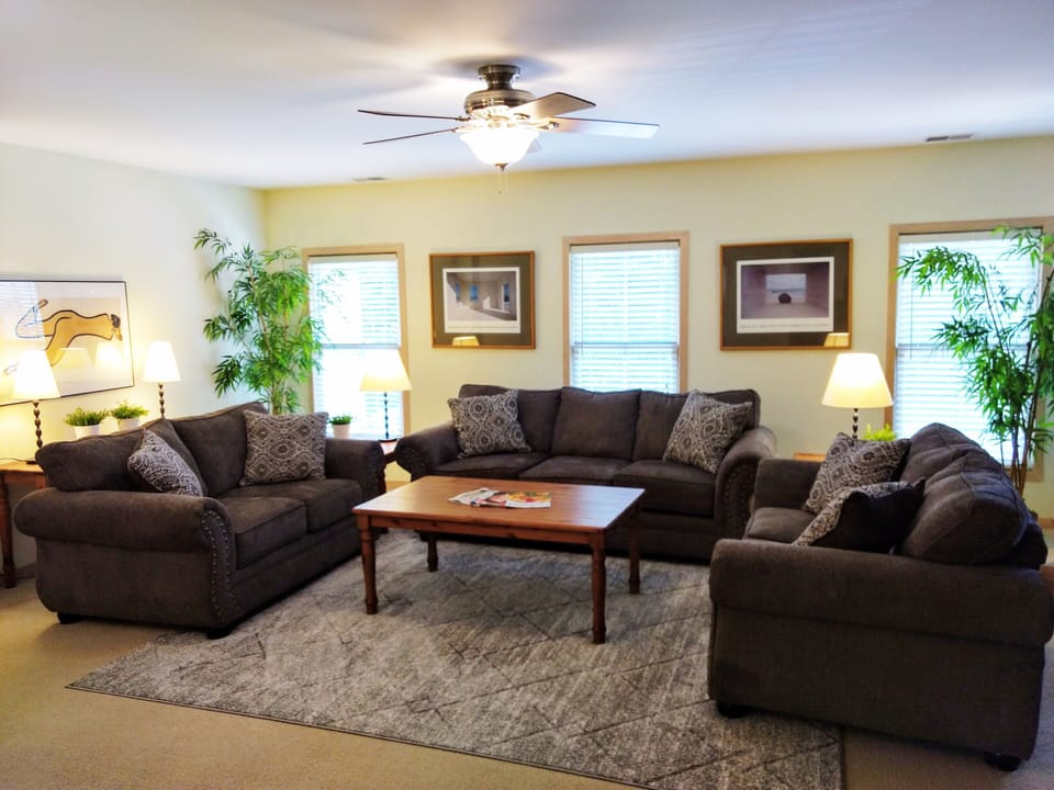 Living Room Area