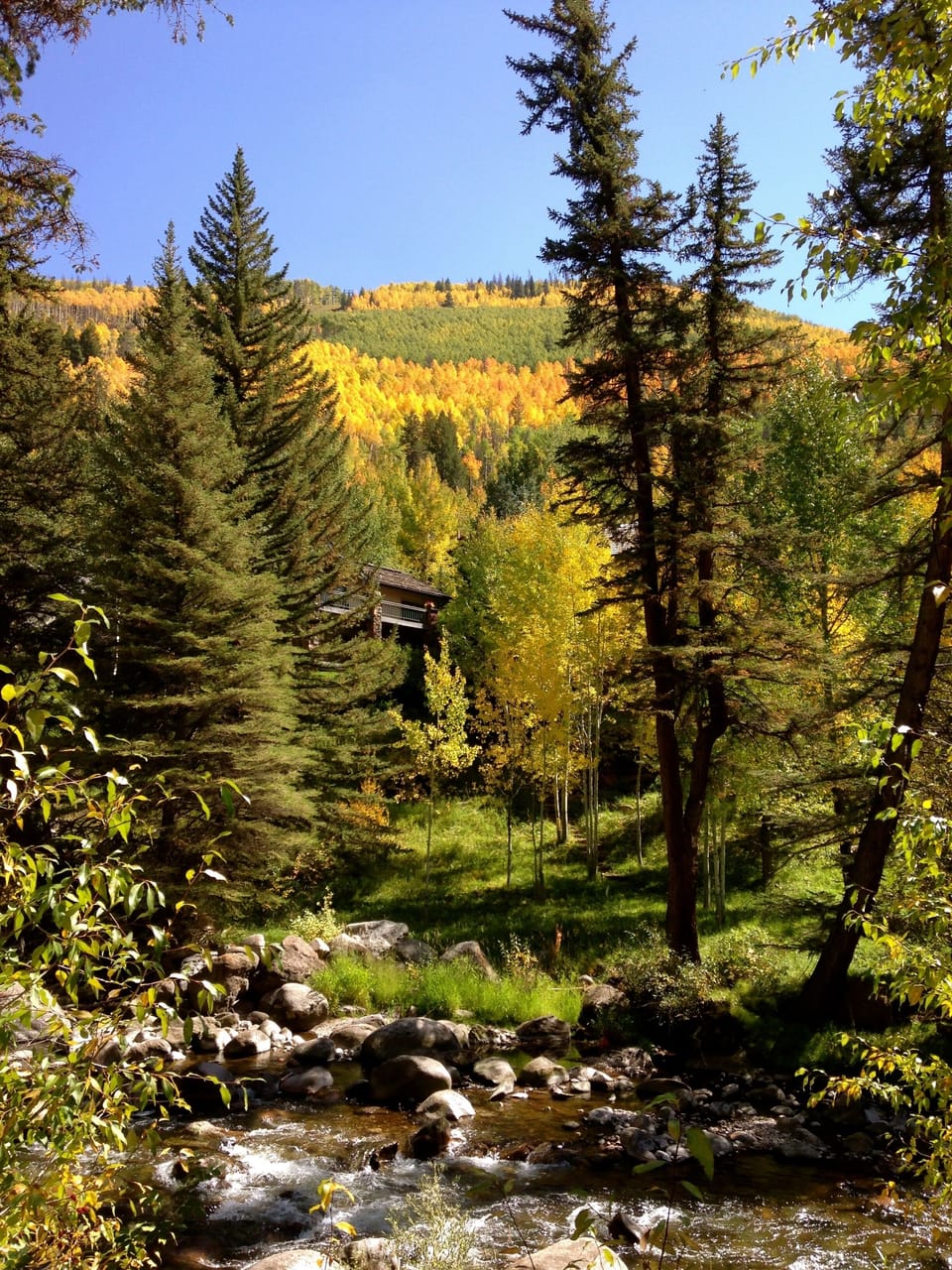 Fall foliage (late September)