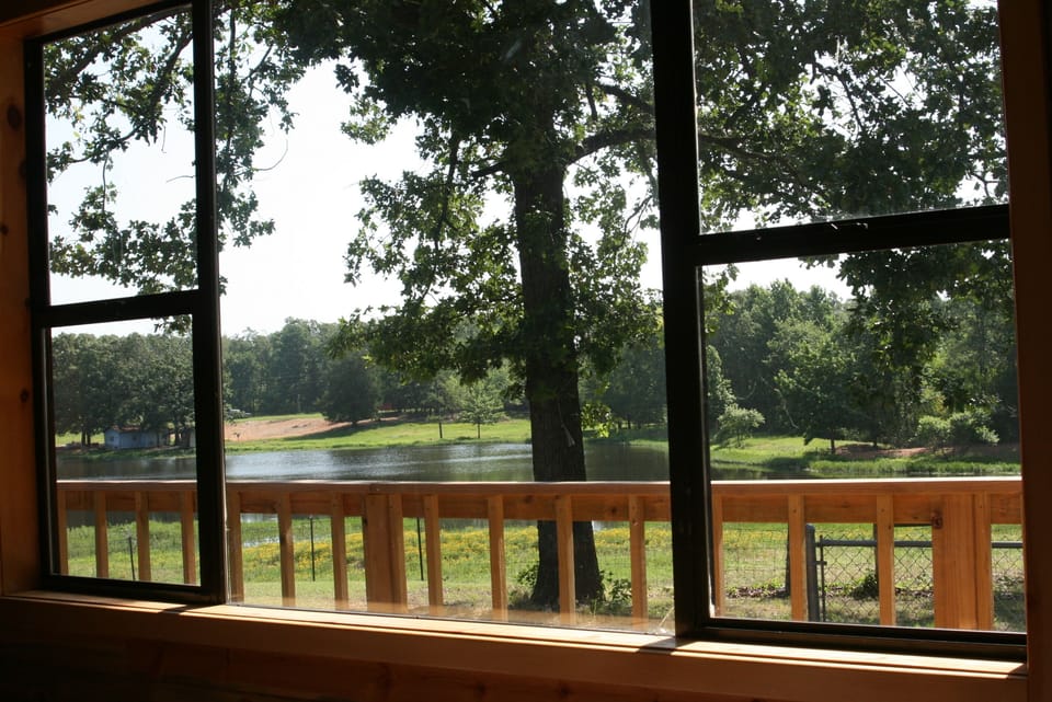 Start each morning with a cup of coffee watching the exotic animals