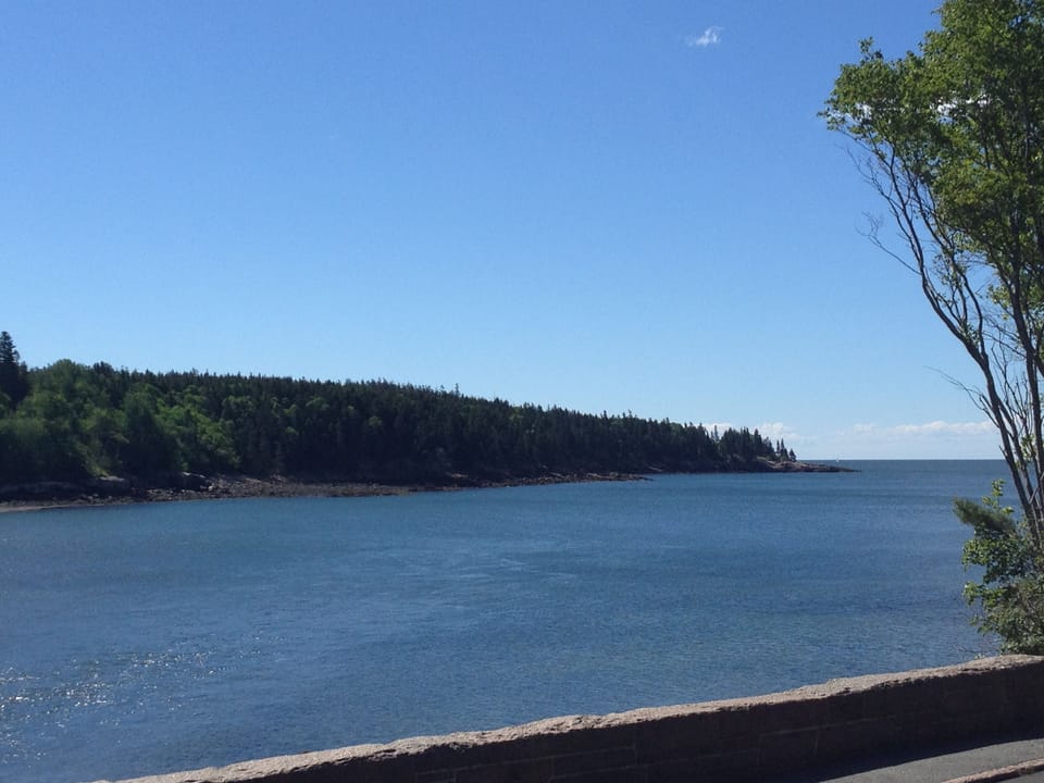 looking east at Otter Cove 
at low tide a great beach 