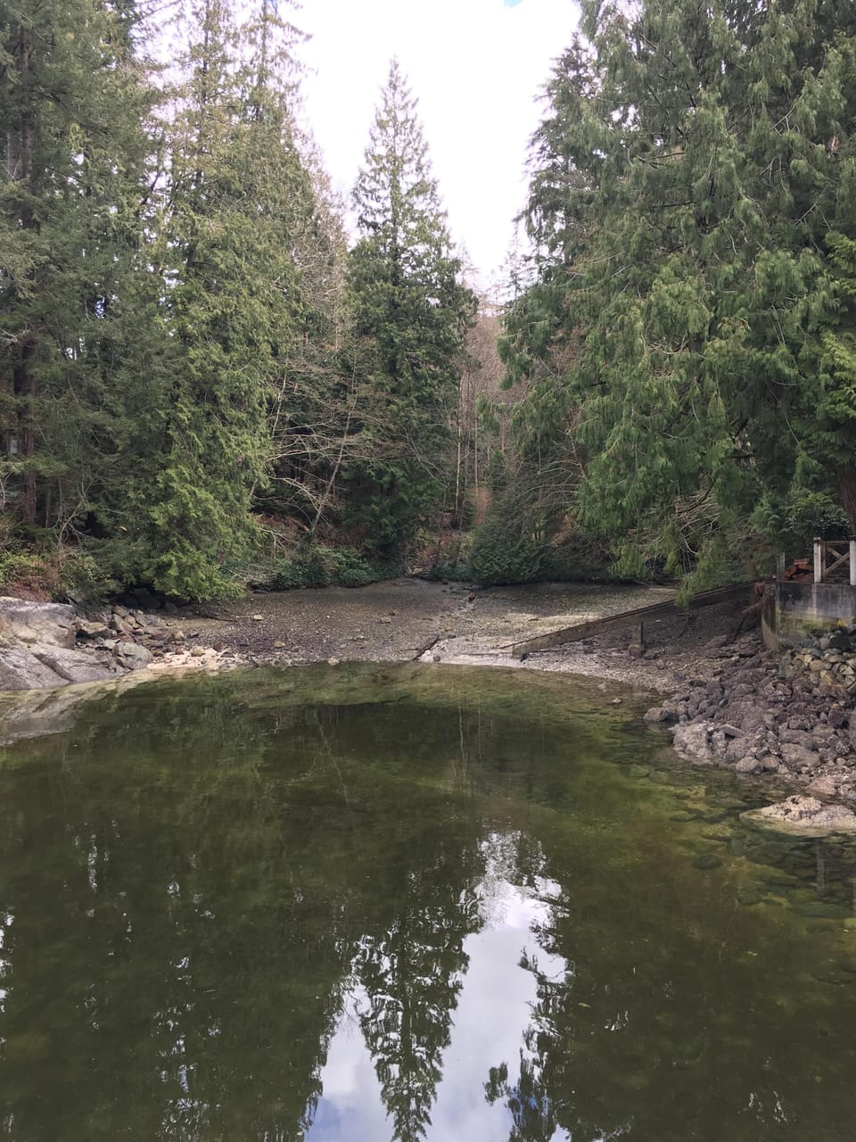 Whiskey Cove - swim, launch your kayak or canoe, scuba dive from here, 3min away
