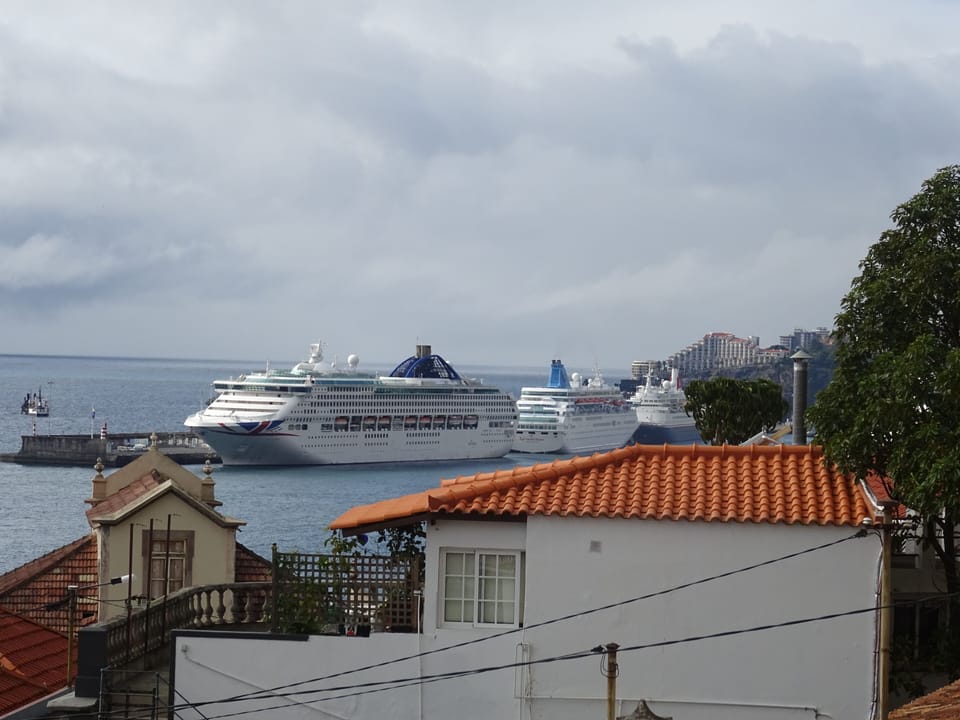 Cruise ships in the Port