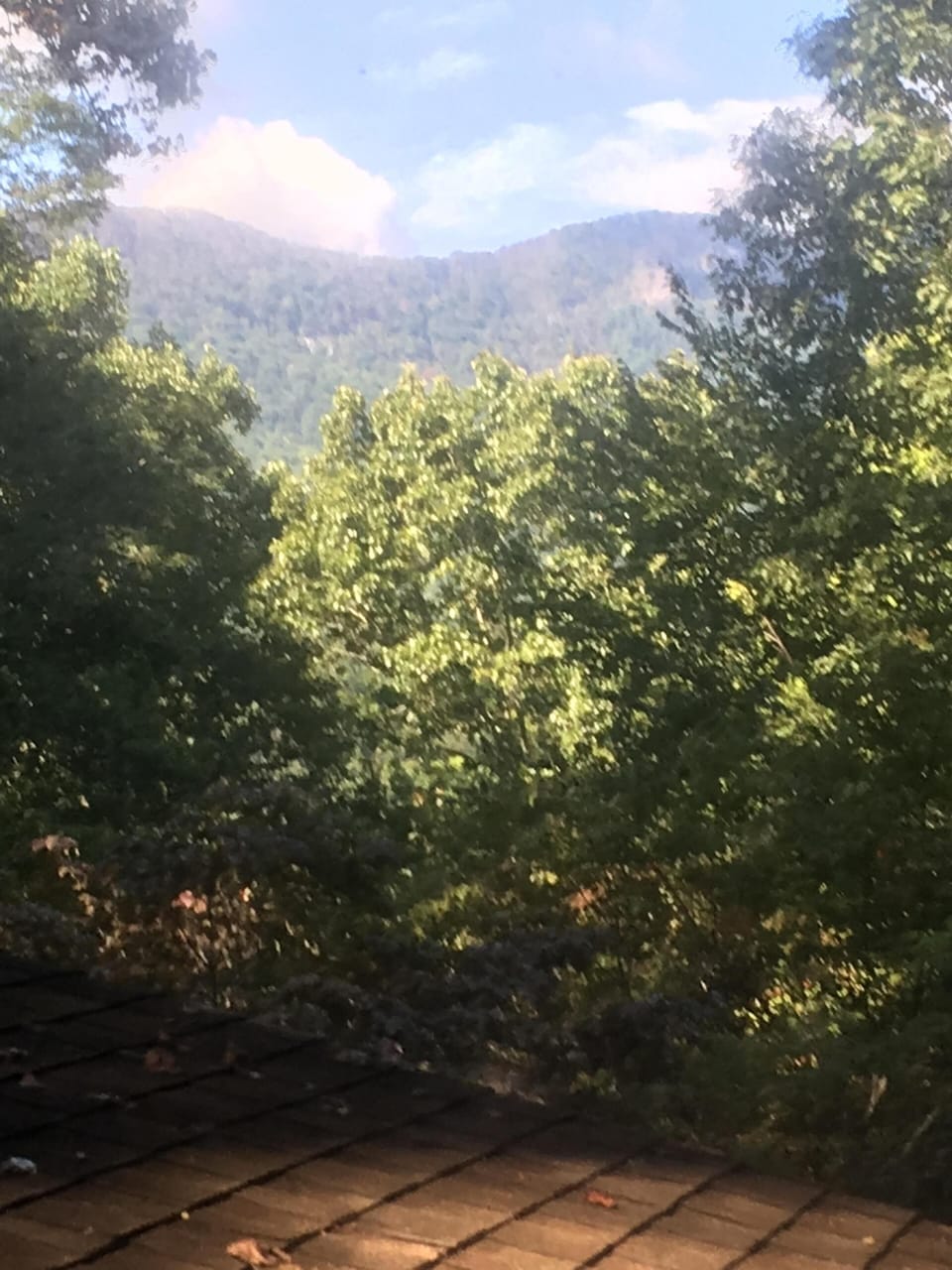 view out upstairs bath window