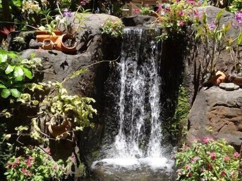 Kaanapali Shores is beautifully landscaped with tropical gardens and waterfalls!