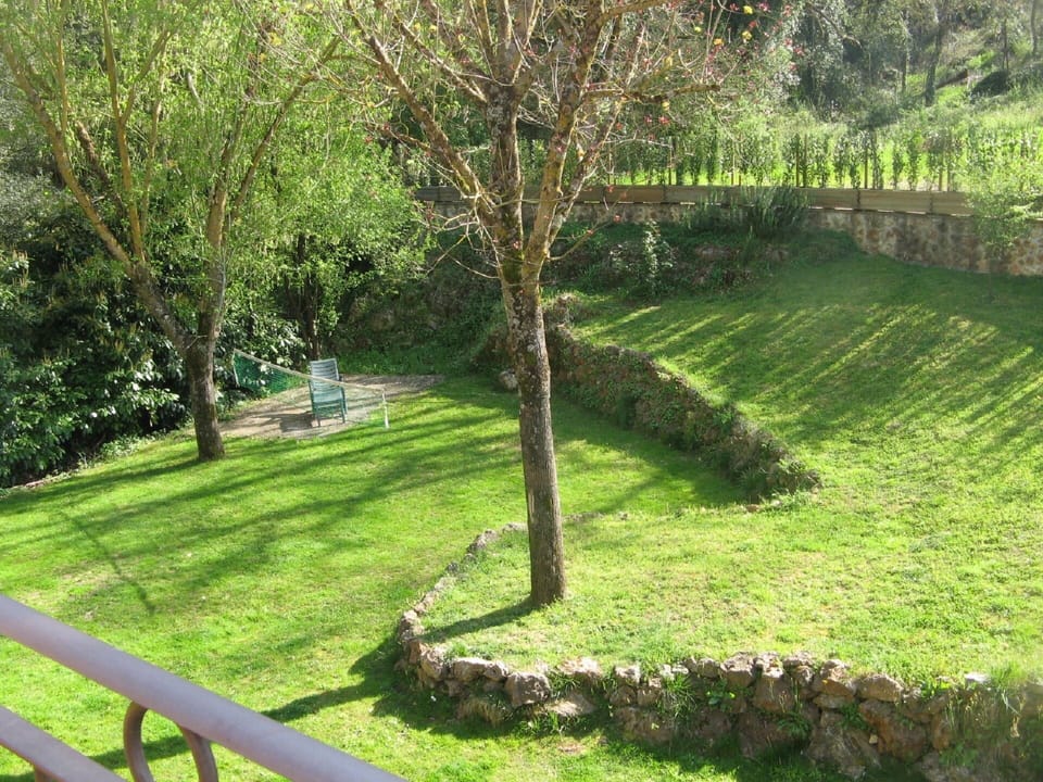 View from the terrace on the fenced garden