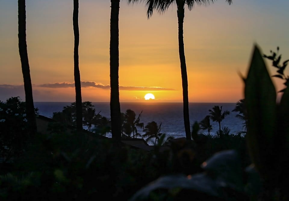 Watch the sun melt into the ocean