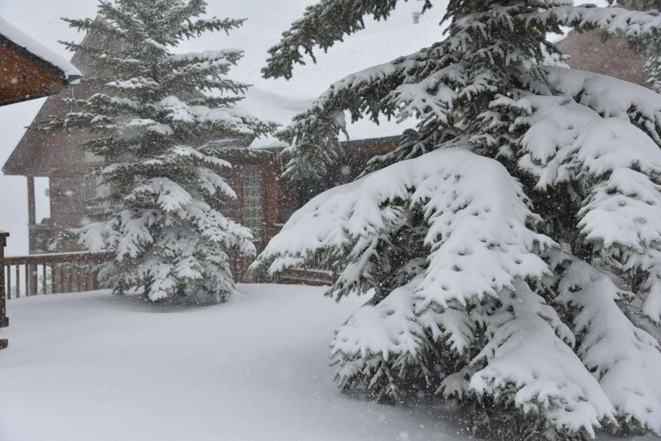 Snowy Outside.  Cozy Inside.