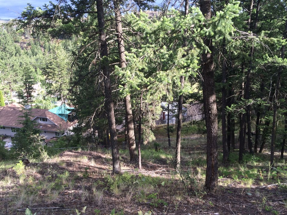 7 stunning acres, hiking trails close by