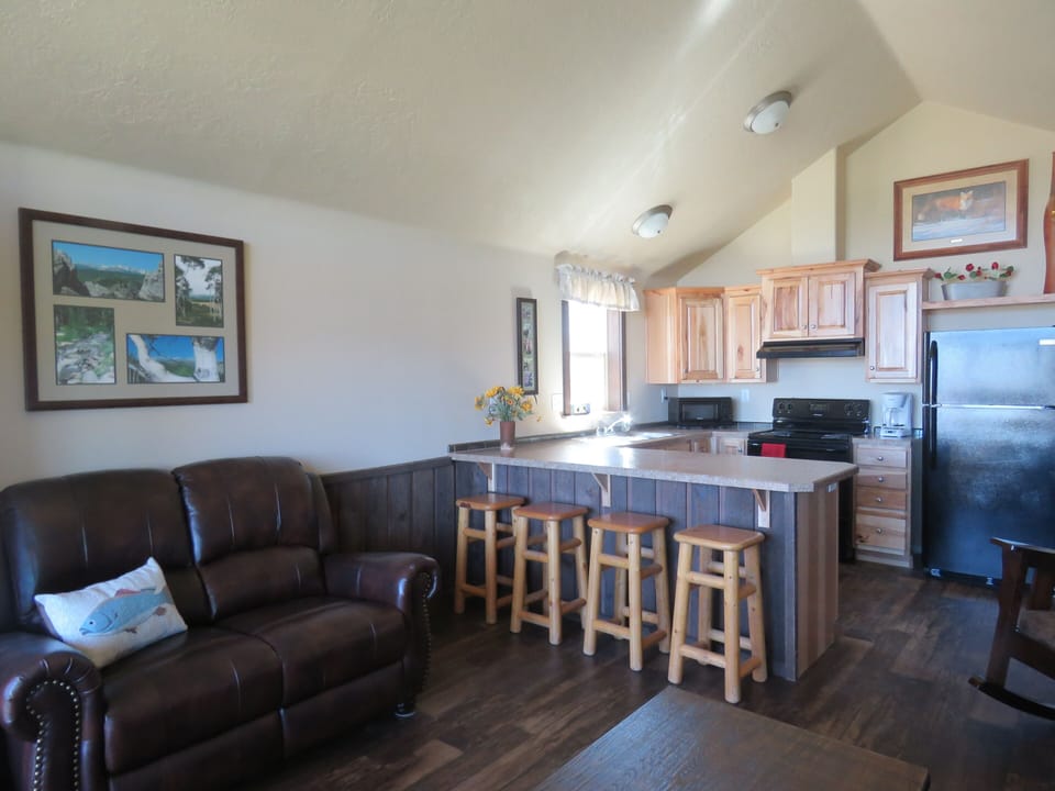 living area and kitchen