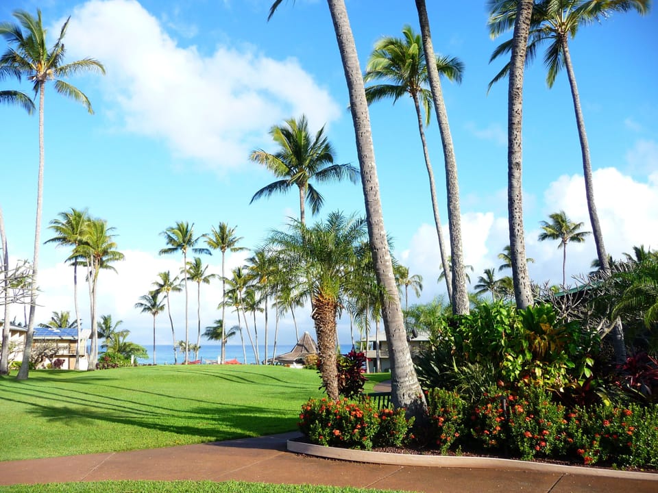 The view toward our beach