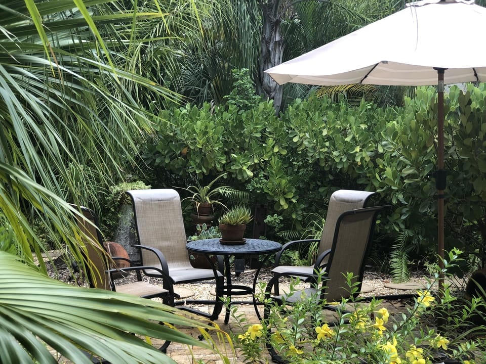Tropical back yard with many seating areas