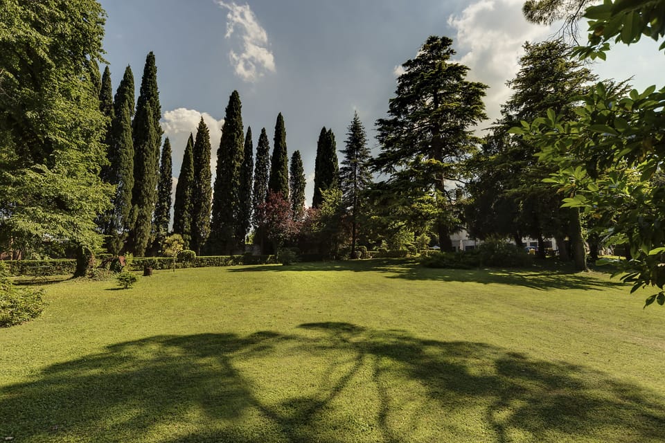 The garden 