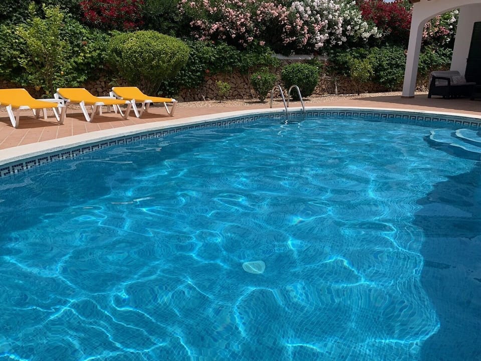 Beautiful Pool