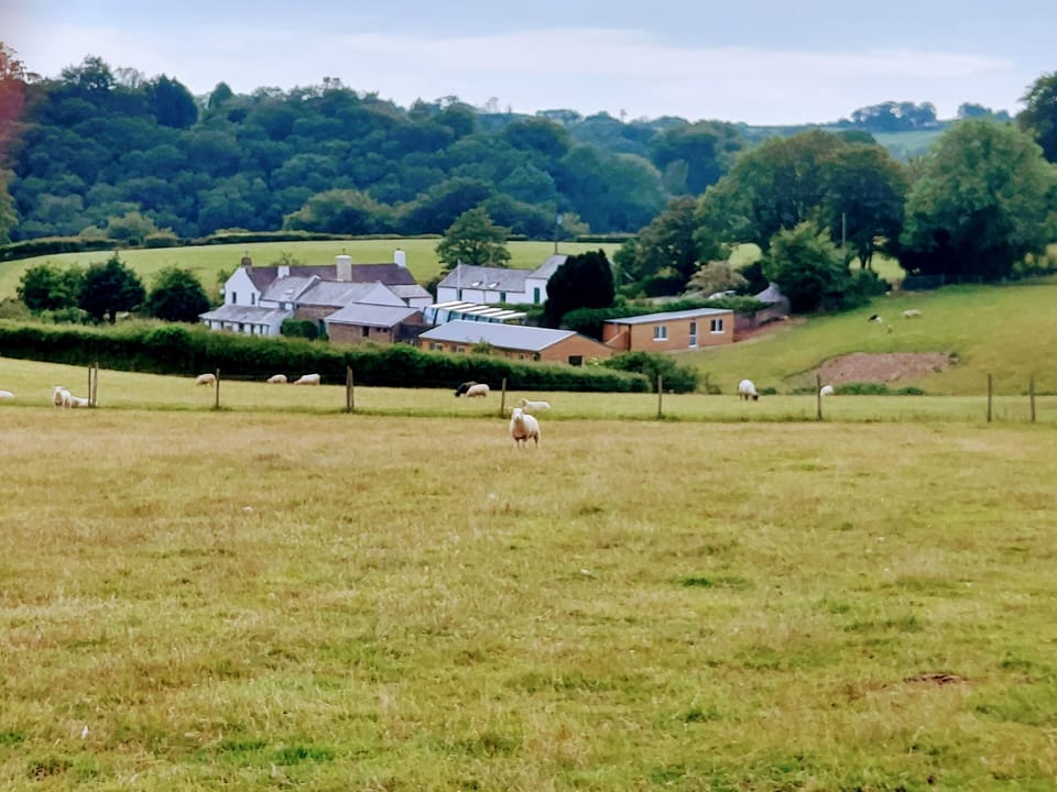 Northcote from the hill