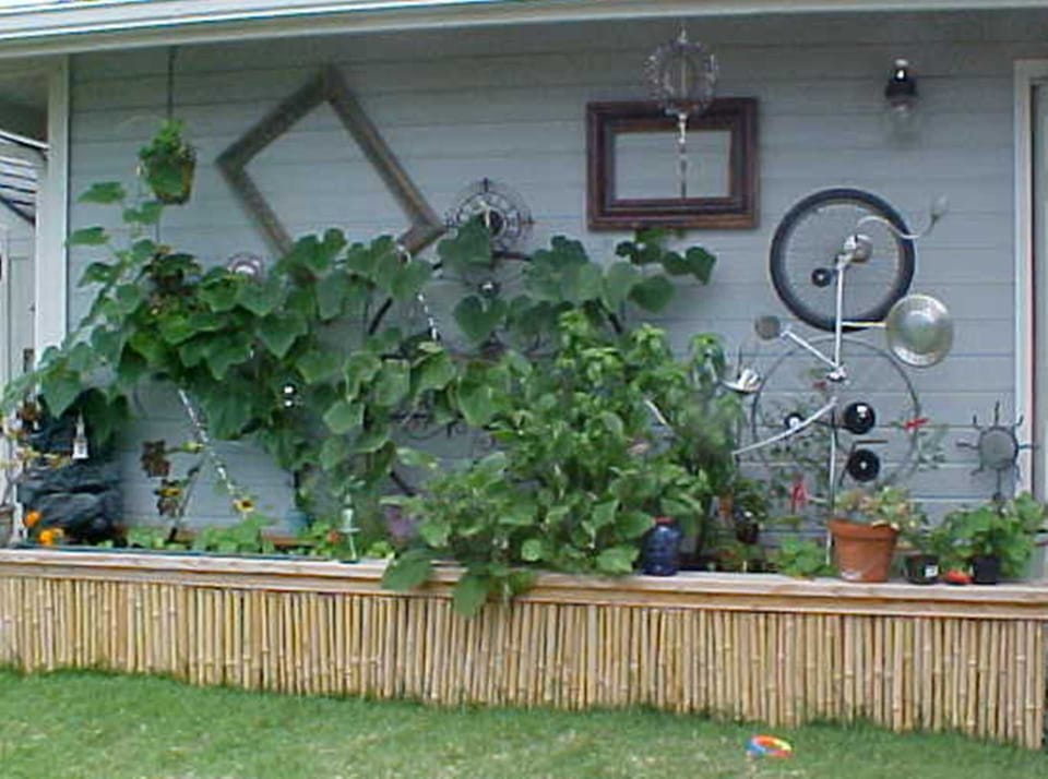 Veggie & Herb Garden