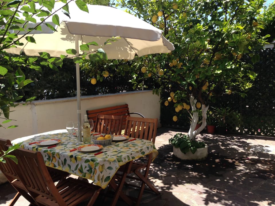 outside patio under the lemon tree..