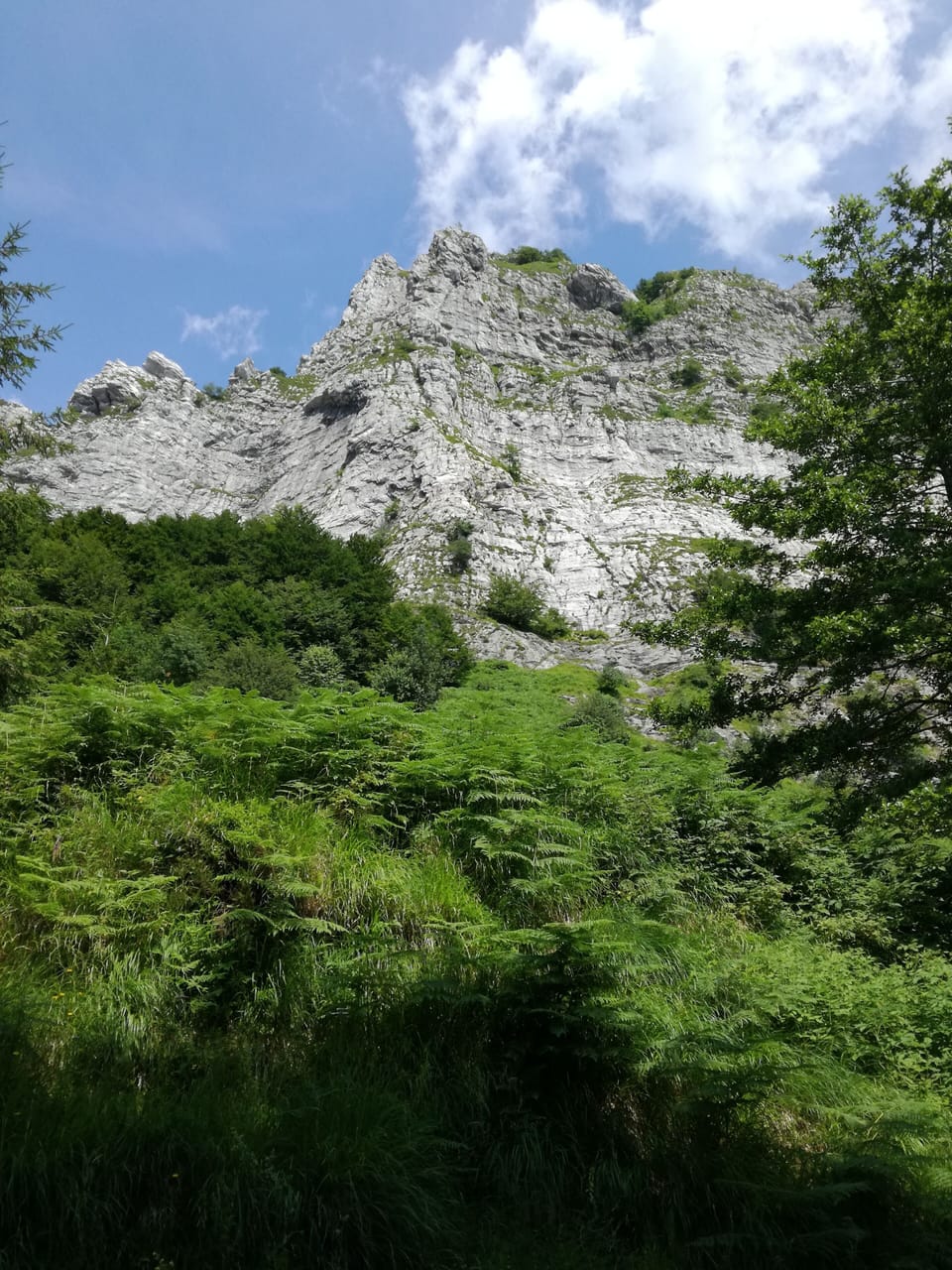 Vacation in a villa in Versilia House in Province of Massa and Carrara