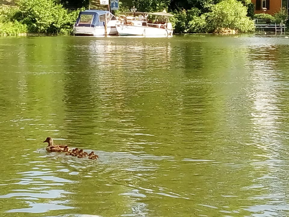 Lake