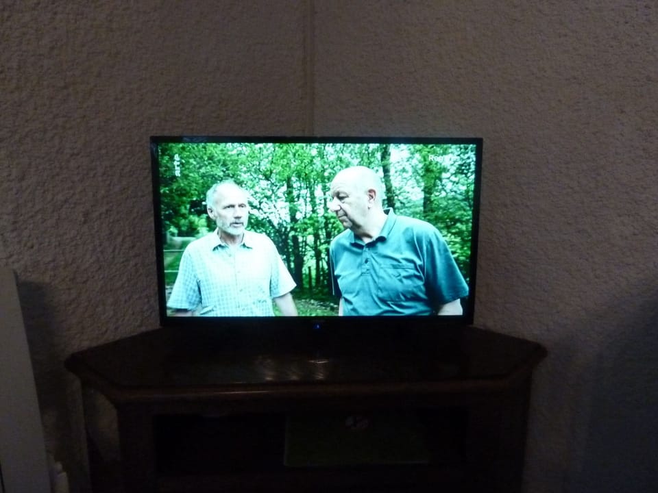 Television