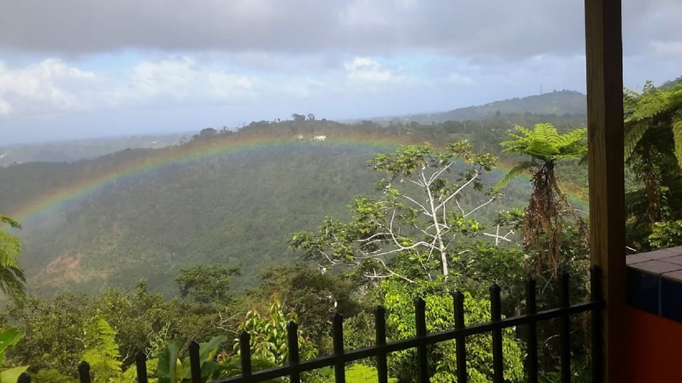 One of many rainbows you will see