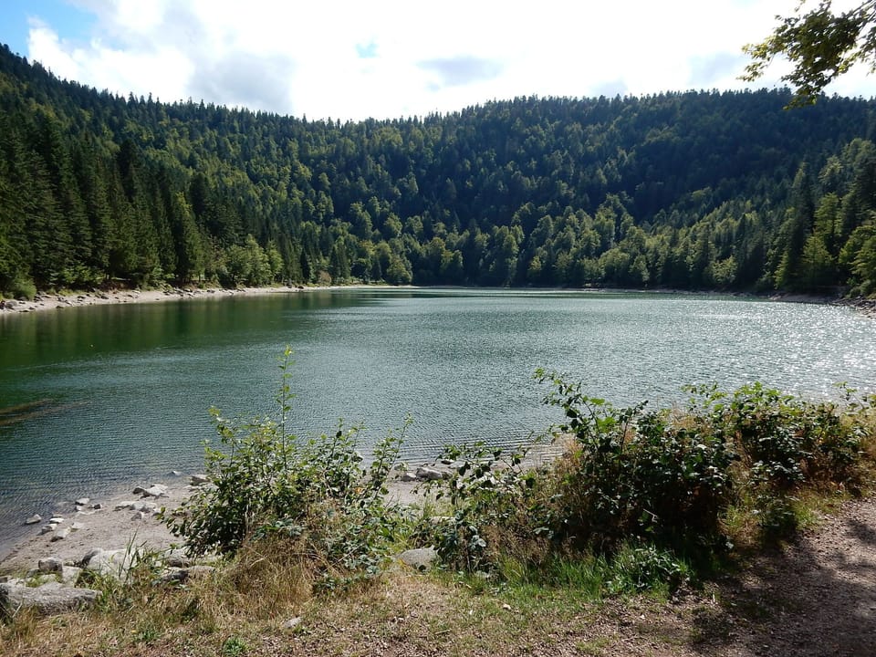 Region [summer] (>5 km)