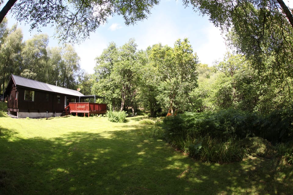 cabin garden