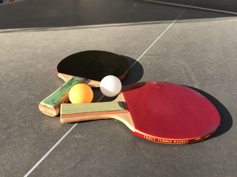 Ping Pong Fun & Games