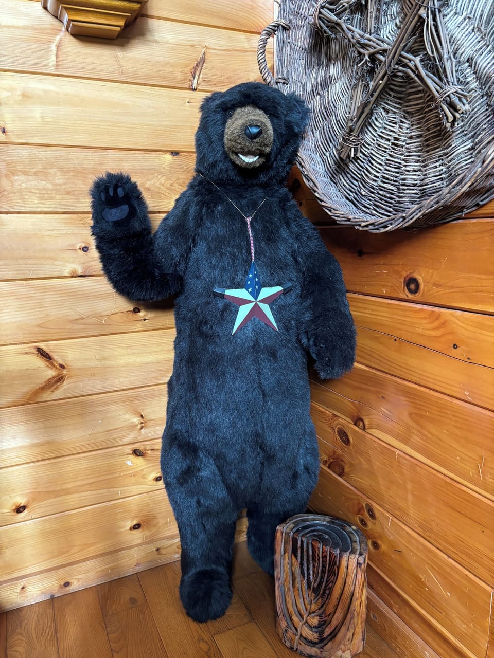 And don't forget your own inside Bear friend! We love our "Thistlehair" Bear 🐻