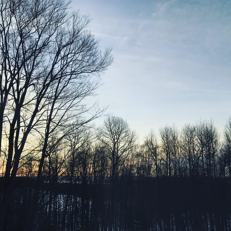 Winter Morning View from the Deck