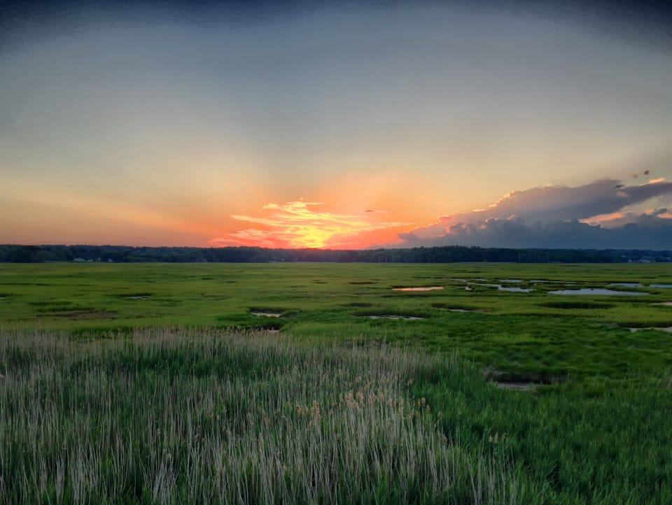 The sun sets across the marsh.