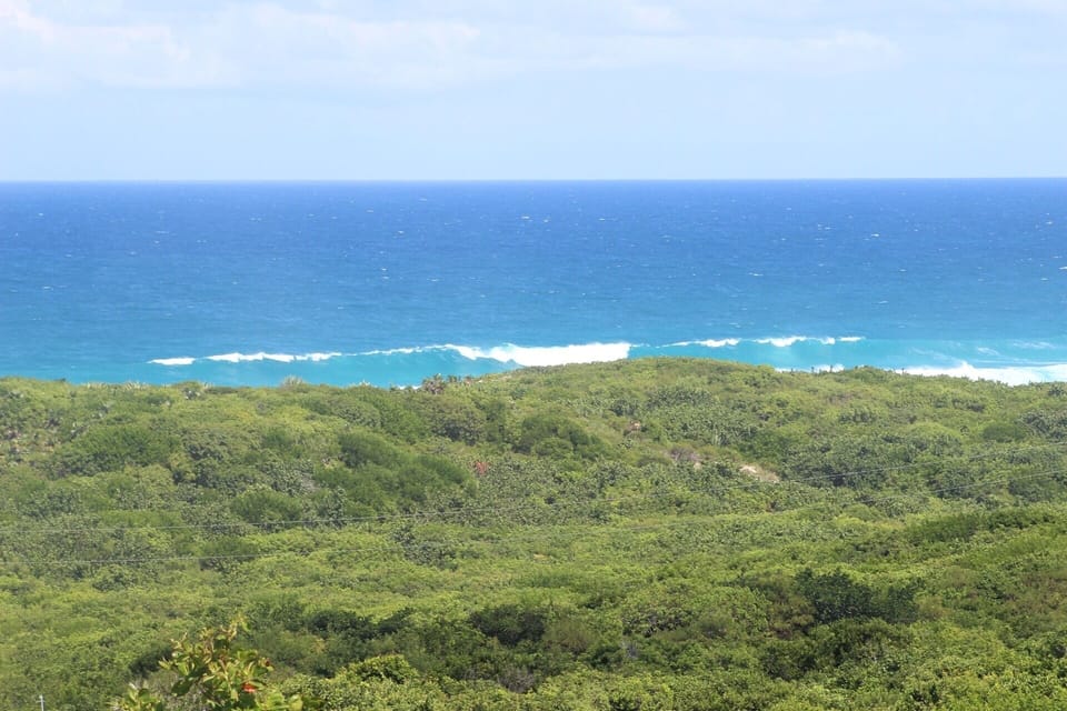 Wave pic 'Taken from the deck'