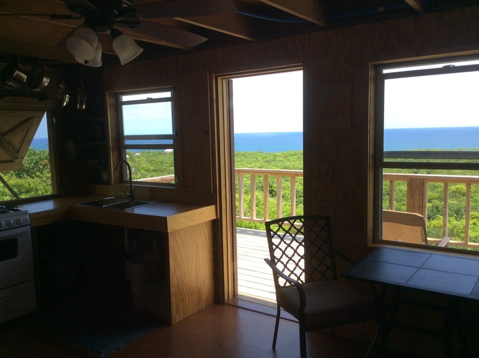 Filtered ocean view from inside (No naturally this dark inside)!!