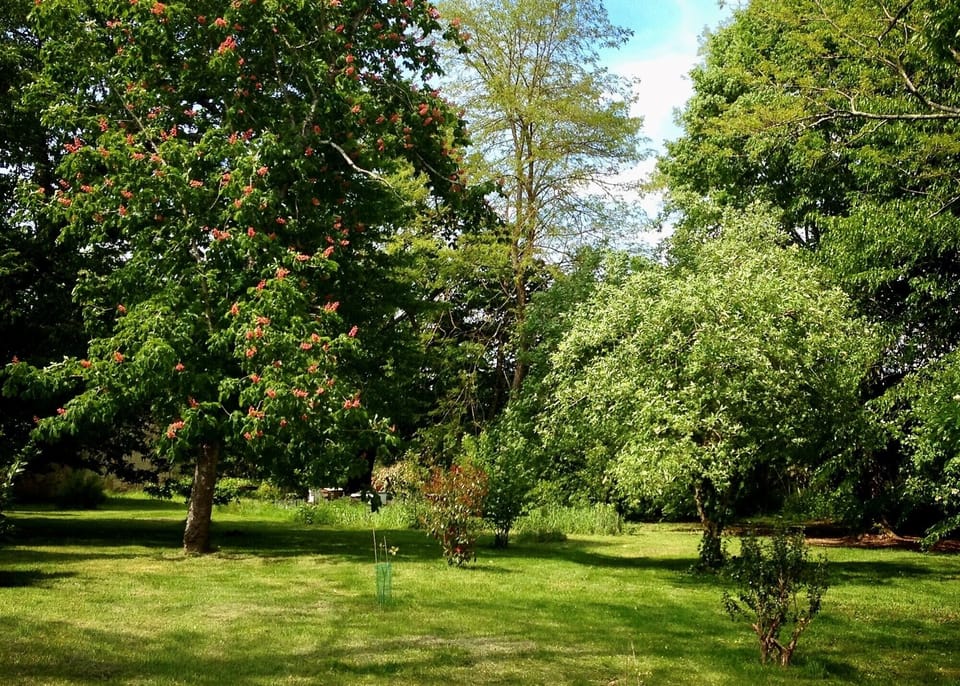 Plenty of outdoor spaces to explore & let off steam.