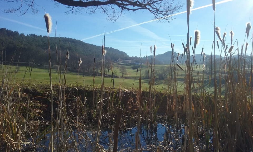 9 hole rustic golfing 10km away in Savignouox, Puy d'Arnac