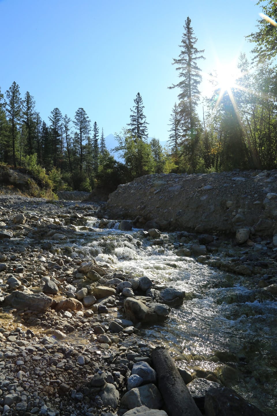 River next to complex