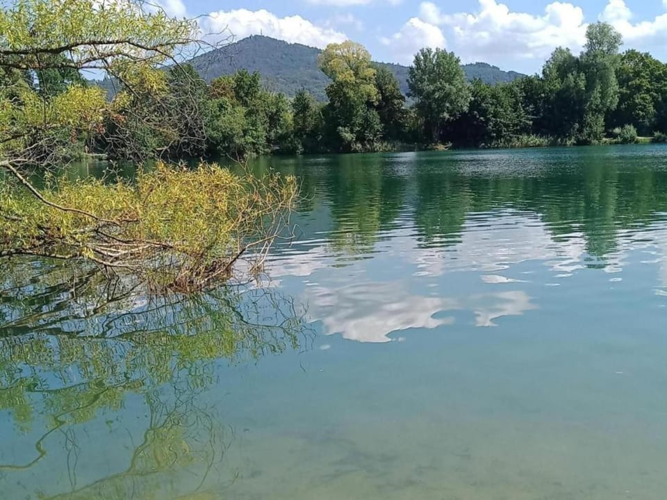 Region [summer] (>5 km)