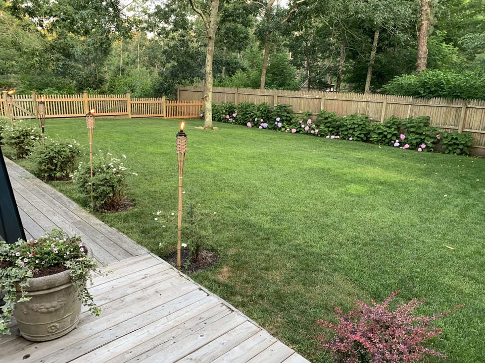 Backyard