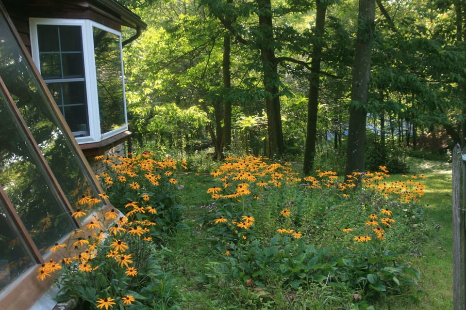 summer's gardens