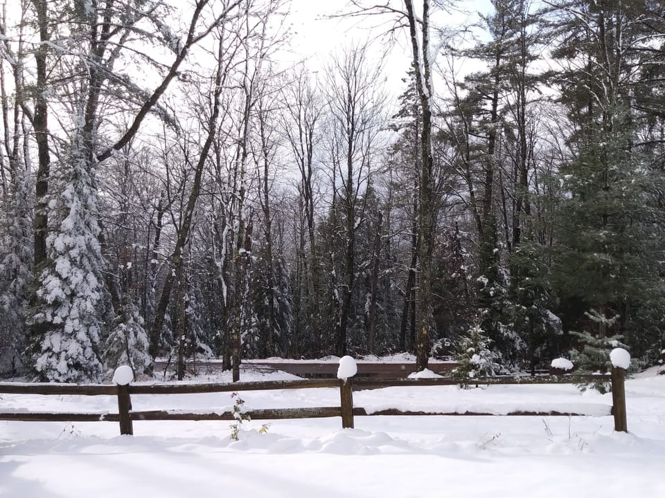 View from yard to road