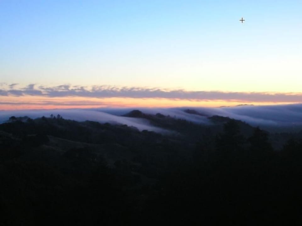 summer fog